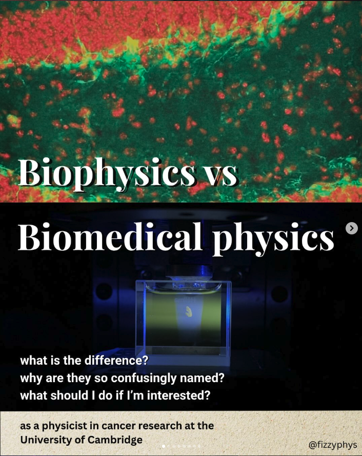 Biophysics vs biomedical physics